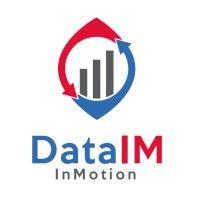 dataim logo image