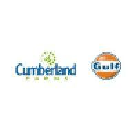 the cumberland gulf group logo image