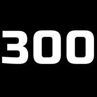 300 marketing solutions logo image