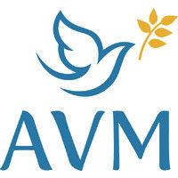 avm sas logo image