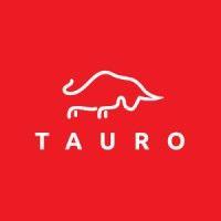 tauro capital advisors, inc. logo image