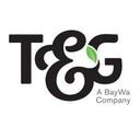 logo of T G Global Limited