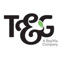 t&g global limited logo image