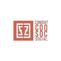 conduit social marketing agency logo image