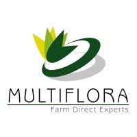 multiflora group