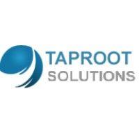 taproot solutions inc logo image