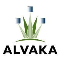 alvaka - 24x7 it support and ransomware recovery logo image