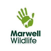 marwell wildlife logo image