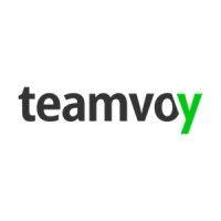 teamvoy logo image