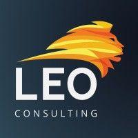 leo consulting