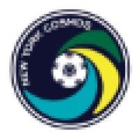 new york cosmos