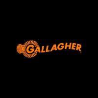 gallagher logo image