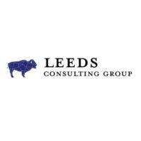 leeds consulting group logo image