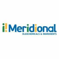 meridional tcs logo image