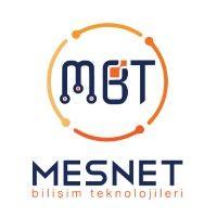 mesnet bilişim teknolojileri ltd. şti̇. logo image