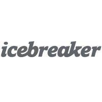 icebreaker business development logo image