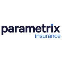 parametrix gmbh logo image