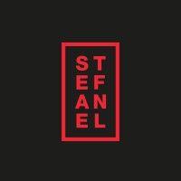 stefanel logo image