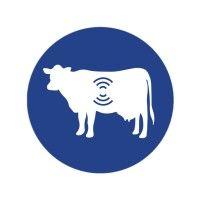 vital herd, inc logo image