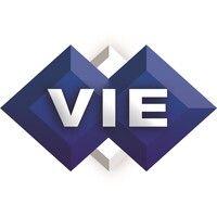 virtual information executives logo image