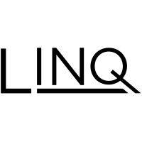 linq ventures logo image