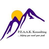 p.e.a.a.k. konsulting logo image