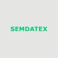 semdatex gmbh logo image