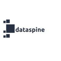 dataspine logo image