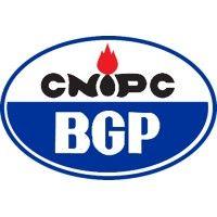 bgp international logo image