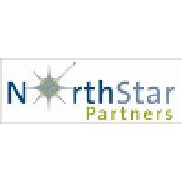 northstar partners logo image