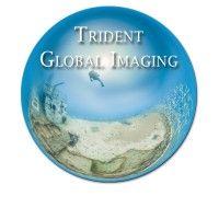 trident global imaging, llc logo image