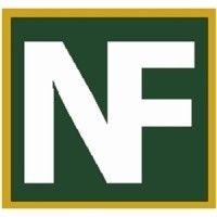 nelson financial, llc logo image