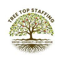 tree top staffing llc logo image