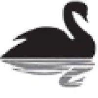 blackswan solutions logo image