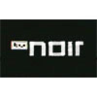 tv noir logo image