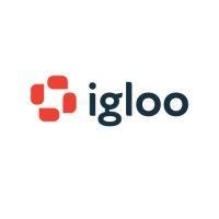 igloo software logo image