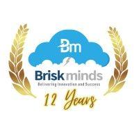 briskminds software solutions logo image