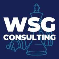 wsg consulting llc logo image