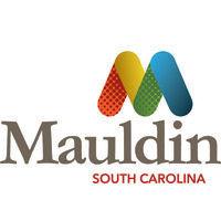 city of mauldin logo image