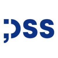 dss - digital and software solutions logo image