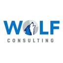 logo of Wolf Consulting Llc