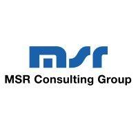 msr consulting group nederland logo image