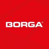 borga group logo image