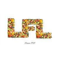 lflcreation logo image