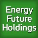 logo of Energy Future Holdings