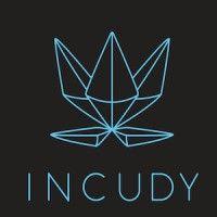 incudy gmbh logo image