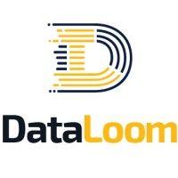 dataloom logo image