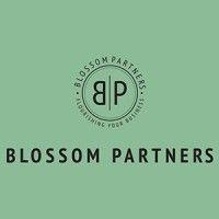 blossom partners ltd logo image