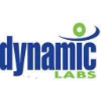 dynamic labs logo image