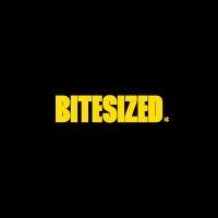 bitesized podcast logo image